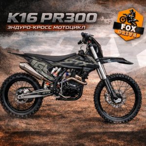 GTX K16 PR300